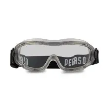 Gafas Pegaso Iron 183.01
