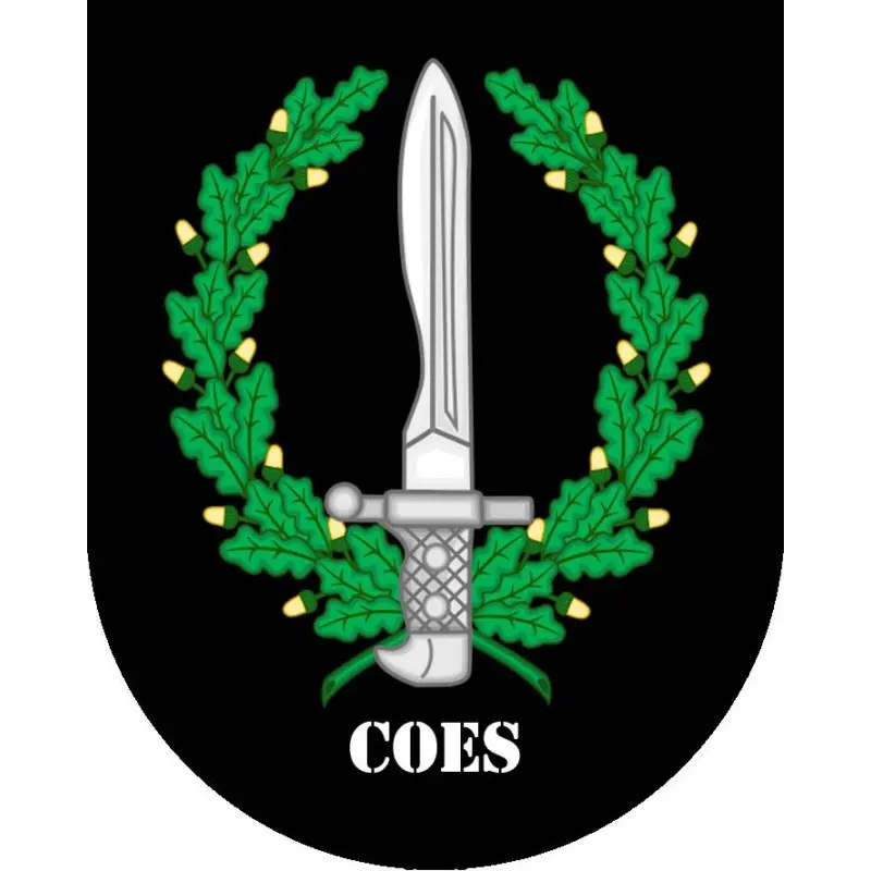 Parche escudo COES negro